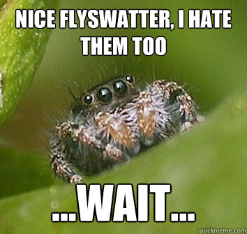 nice flyswatter i hate them too wait - Misunderstood Spider
