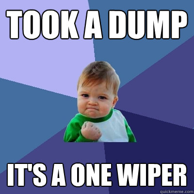 took a dump its a one wiper - Success Kid