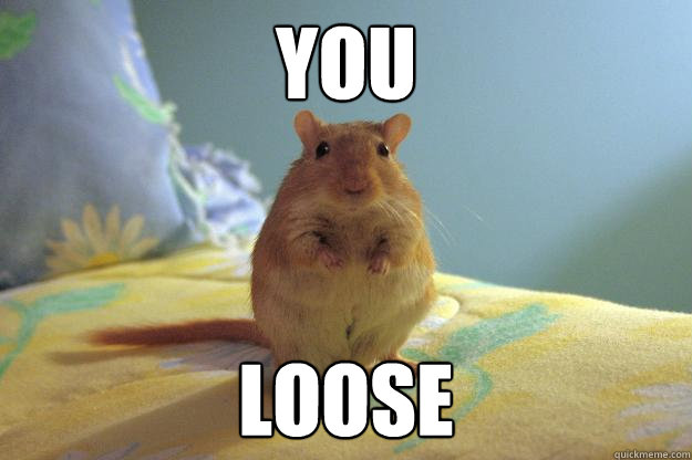 you loose - Gerbillinae-Erectus