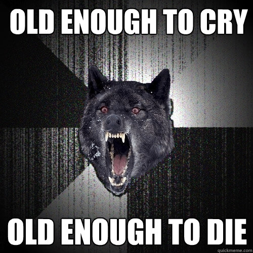 old enough to cry old enough to die - Insanity Wolf