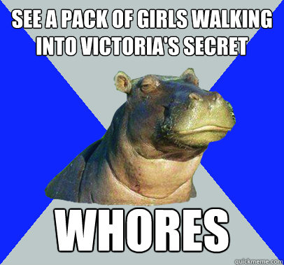 see a pack of girls walking into victorias secret whores - Skeptical Hippo