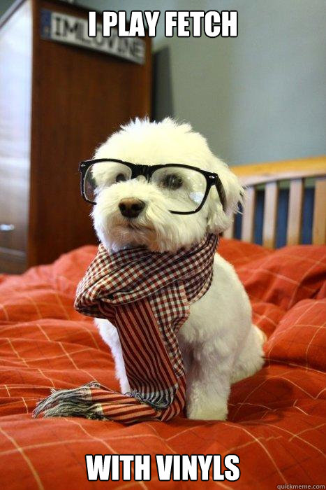 i play fetch with vinyls caption 3 goes here - Hipster Dog