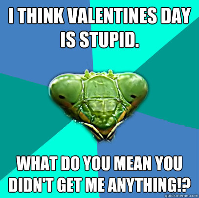 i think valentines day is stupid what do you mean you didn - Crazy Girlfriend Praying Mantis