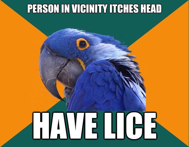 person in vicinity itches head have lice - Paranoid Parrot