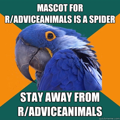 mascot for radviceanimals is a spider stay away from radvi - Paranoid Parrot