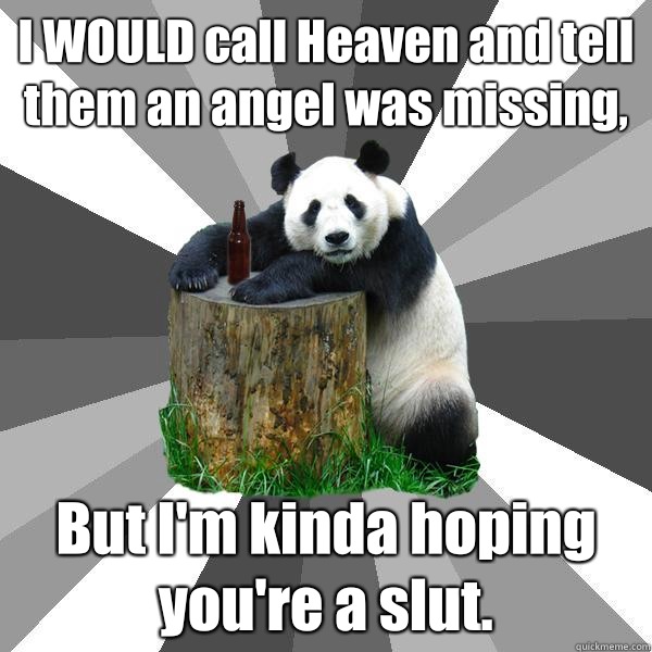 I WOULD call Heaven and tell them an angel was missing But I - Pickup-Line Panda