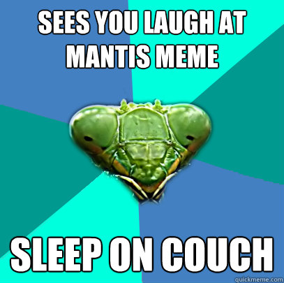 sees you laugh at mantis meme sleep on couch - Crazy Girlfriend Praying Mantis