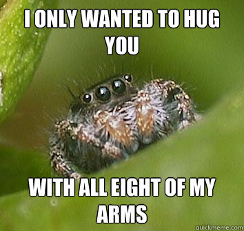 i only wanted to hug you with all eight of my arms - Misunderstood Spider