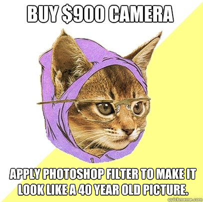 buy 900 camera apply photoshop filter to make it look like - Hipster Kitty