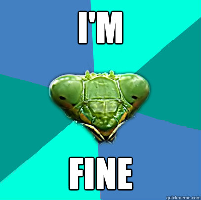im fine - Crazy Girlfriend Praying Mantis