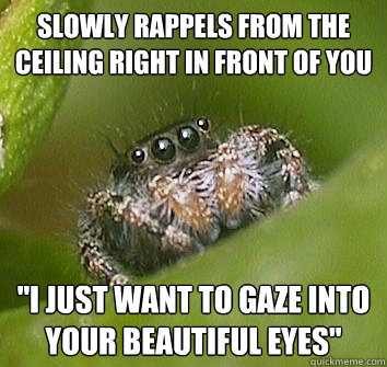 slowly rappels from the ceiling right in front of you i jus - Misunderstood Spider