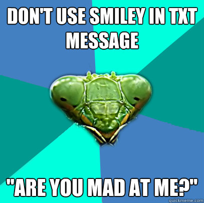 dont use smiley in txt message are you mad at me - Crazy Girlfriend Praying Mantis