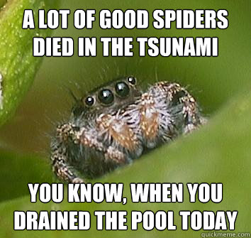 a lot of good spiders died in the tsunami you know when you - Misunderstood Spider