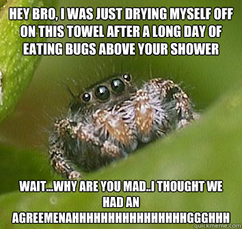 hey bro i was just drying myself off on this towel after a - Misunderstood Spider