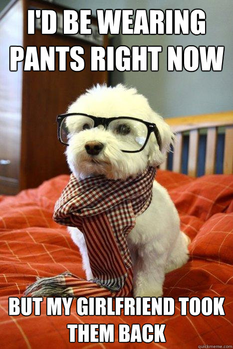 id be wearing pants right now but my girlfriend took them b - Hipster Dog