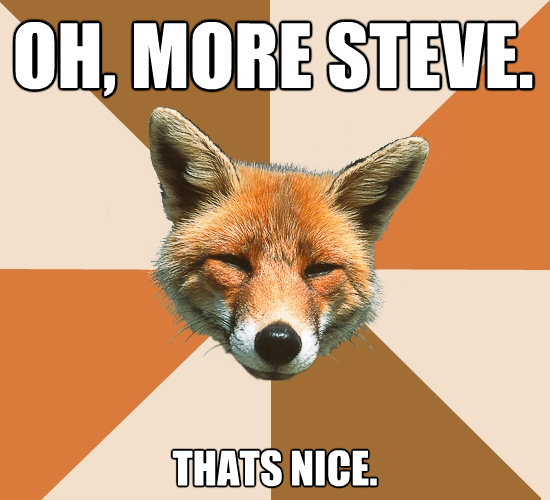 oh more steve thats nice - Condescending Fox