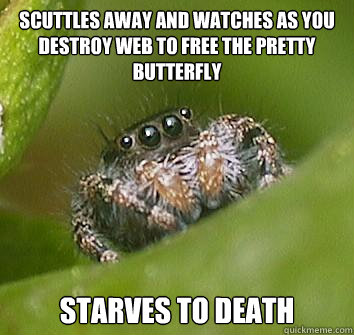 scuttles away and watches as you destroy web to free the pre - Misunderstood Spider