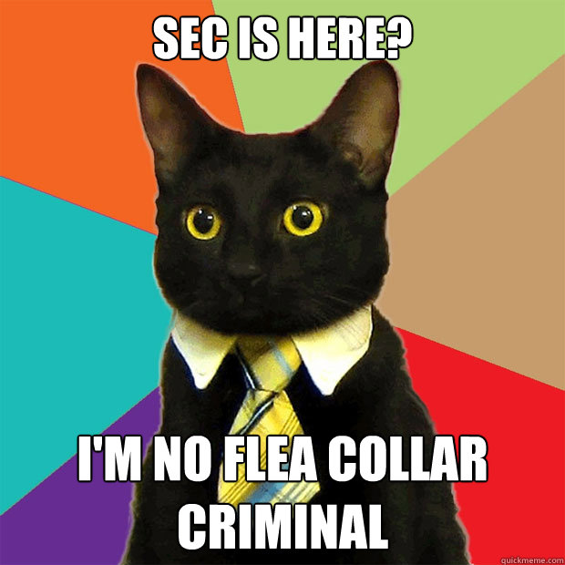 sec is here im no flea collar criminal - Business Cat