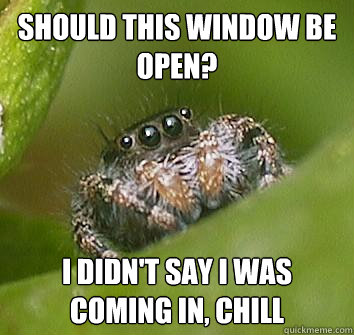 should this window be open i didnt say i was coming in ch - Misunderstood Spider