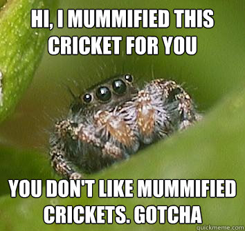 hi i mummified this cricket for you you dont like mummifie - Misunderstood Spider