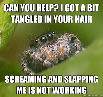 can you help i got a bit tangled in your hair screaming and - Misunderstood Spider