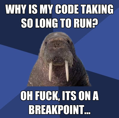 why is my code taking so long to run oh fuck its on a brea - Web Developer Walrus