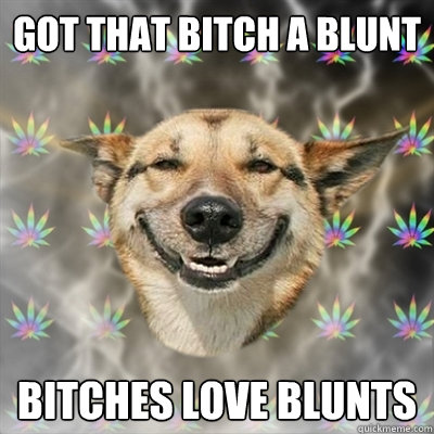got that bitch a blunt bitches love blunts - Stoner Dog