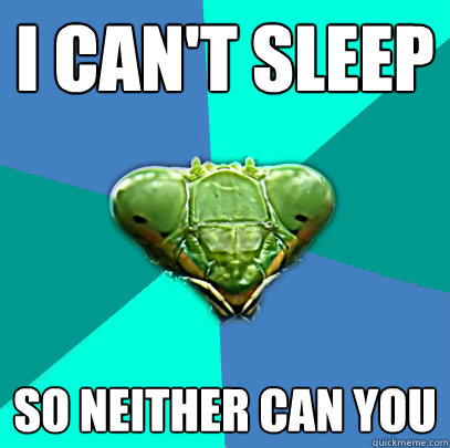i cant sleep so neither can you - Crazy Girlfriend Praying Mantis