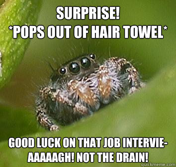 surprise pops out of hair towel good luck on that job in - Misunderstood Spider